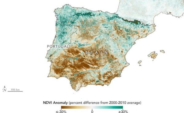 Del verde al marrón: la NASA da cuenta de la sequía en el olivar andaluz
