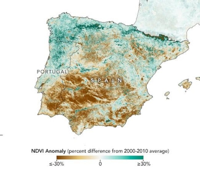 Del verde al marrón: la NASA da cuenta de la sequía en el olivar andaluz