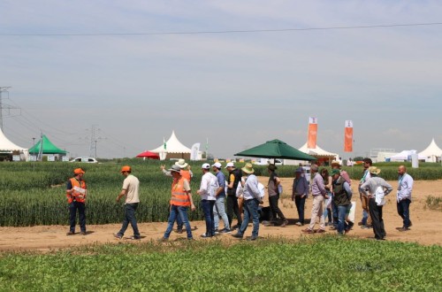 Lleida acoge las VIII Jornadas Genvce 2023 los días 17 y 18 de mayo