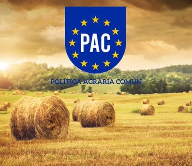 Actualización de las PMF sobre «Agricultor activo» y «Pago redistributivo» de la PAC 2023-27