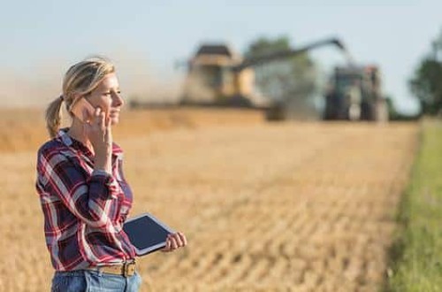 Modificada la normativa sobre concesión de ayudas del PRTR en proyectos de agricultura y ganadería