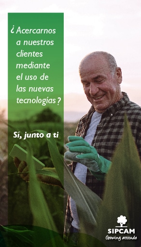Junto a ti L2 292*510 29/5-4/6