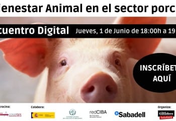 Webinar Mundo Ganadero: Bienestar animal en el sector porcino
