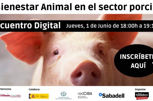 Webinar Mundo Ganadero: Bienestar animal en el sector porcino