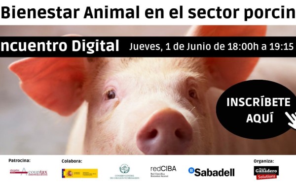 Webinar Mundo Ganadero: Bienestar animal en el sector porcino