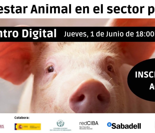 Webinar Mundo Ganadero: Bienestar animal en el sector porcino