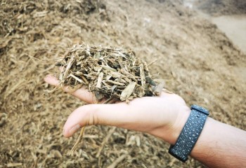 Cooperativas Agro-alimentarias y CEPSA impulsarán la producción de biocombustibles 2G a partir de residuos agrarios