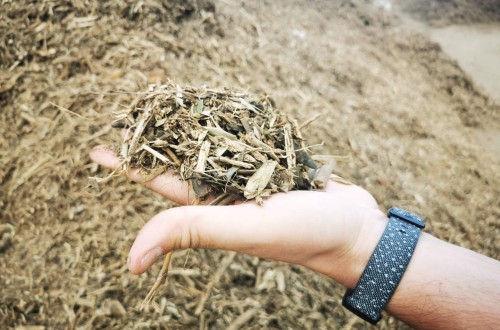 Cooperativas Agro-alimentarias y CEPSA impulsarán la producción de biocombustibles 2G a partir de residuos agrarios