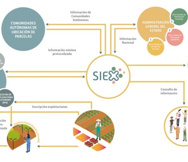 El FEGA dará de alta de oficio en el SIEX a las explotaciones agrarias que presenten la Solicitud Única de la PAC 2023