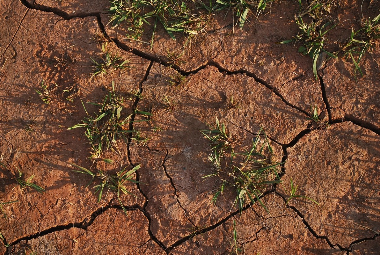 El agro valora pero ve muy insuficientes las medidas y el apoyo del Gobierno frente a la gravedad de la sequía