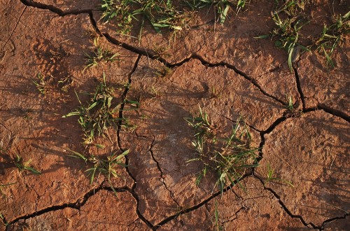 El agro valora pero ve muy insuficientes las medidas y el apoyo del Gobierno frente a la gravedad de la sequía