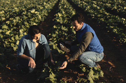 Timac Agro presentará sus últimos avances en bioestimulantes de origen microbiano en Microbioma 2023