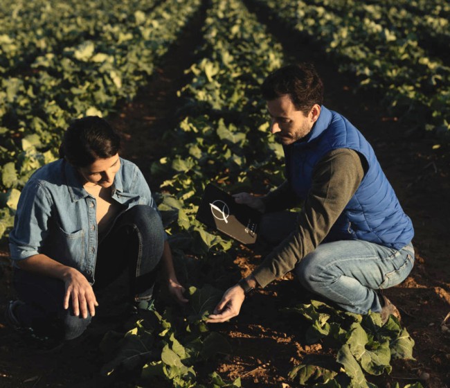Timac Agro presentará sus últimos avances en bioestimulantes de origen microbiano en Microbioma 2023