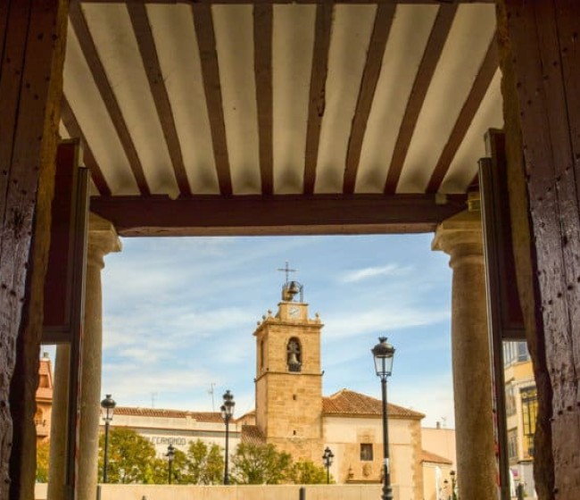 Enoturismo: ACEVIN crea el título de «Ciudad Española del Vino»