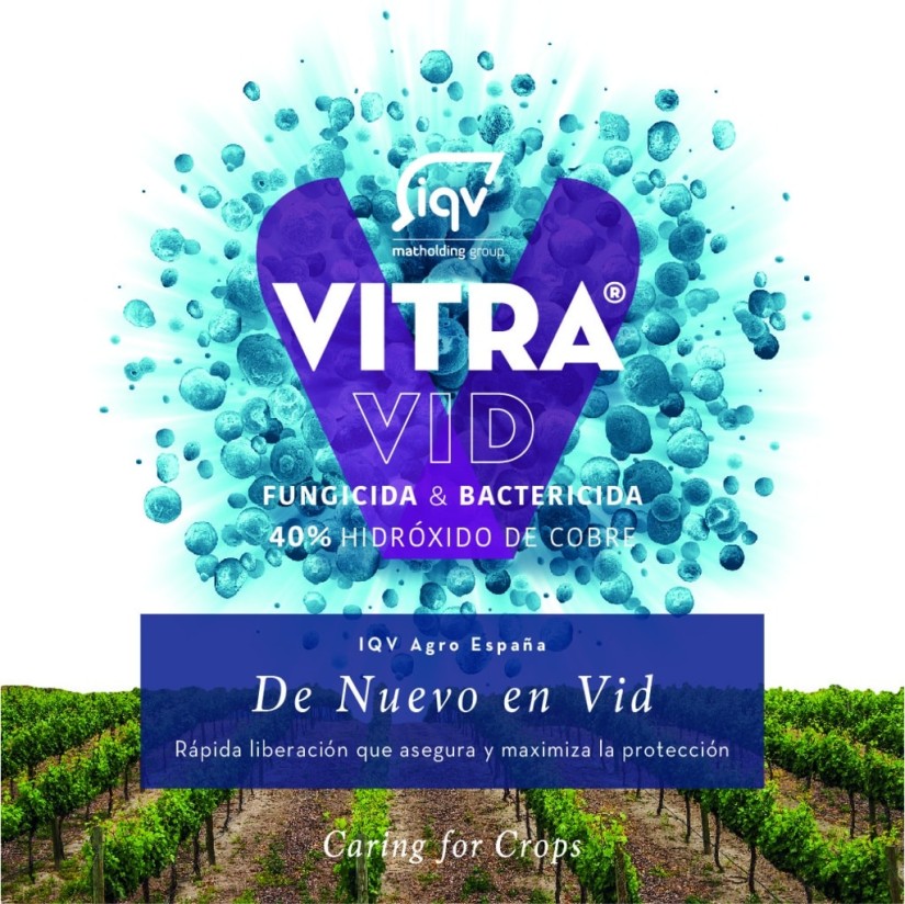 Vitra Vid, la nueva solución de IQV Agro a base de hidróxido de cobre autorizado en olivar y viña