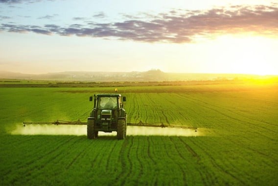 Segundo pago de 5,12 M€ de ayuda estatal para compensar a 3.785 agricultores por los altos precios de los fertilizantes