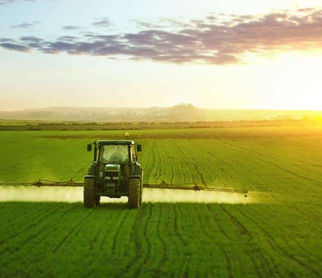 Segundo pago de 5,12 M€ de ayuda estatal para compensar a 3.785 agricultores por los altos precios de los fertilizantes