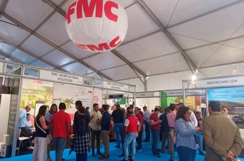 Exirel Cebo, la nueva herramienta de FMC para el control de la mosca del olivo