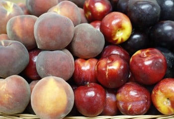 Cooperativas prevé una producción nacional de fruta de hueso por encima de 1,5 Mt