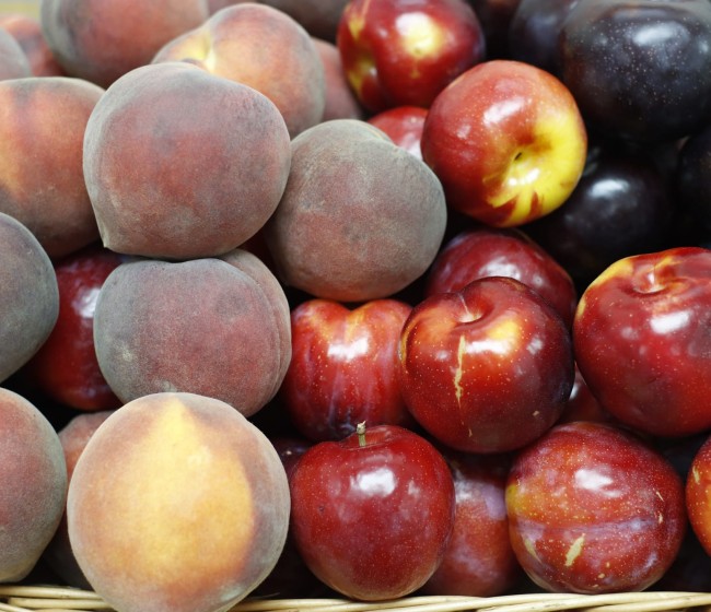 Cooperativas prevé una producción nacional de fruta de hueso por encima de 1,5 Mt