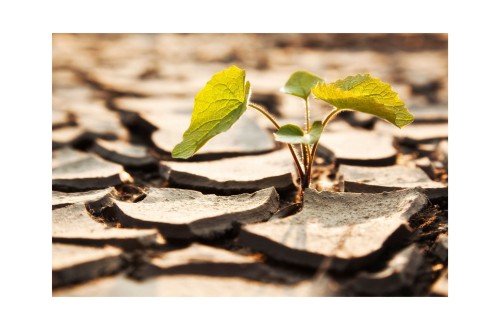 La Mesa Social del Agua de Andalucía denuncia el «mercadeo» de un bien público