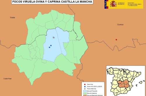 La VOC salta a la provincia de Cuenca, fuera de la zona de protección de los últimos focos
