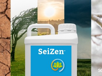SeiZen, el nuevo bioestimulante de Seipasa diseñado para ayudar a la planta en condiciones extremas