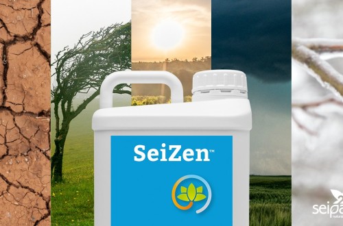 SeiZen, el nuevo bioestimulante de Seipasa diseñado para ayudar a la planta en condiciones extremas