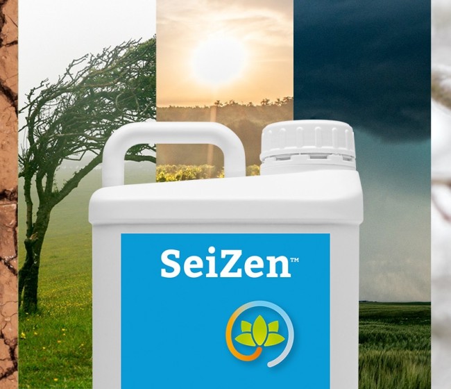 SeiZen, el nuevo bioestimulante de Seipasa diseñado para ayudar a la planta en condiciones extremas