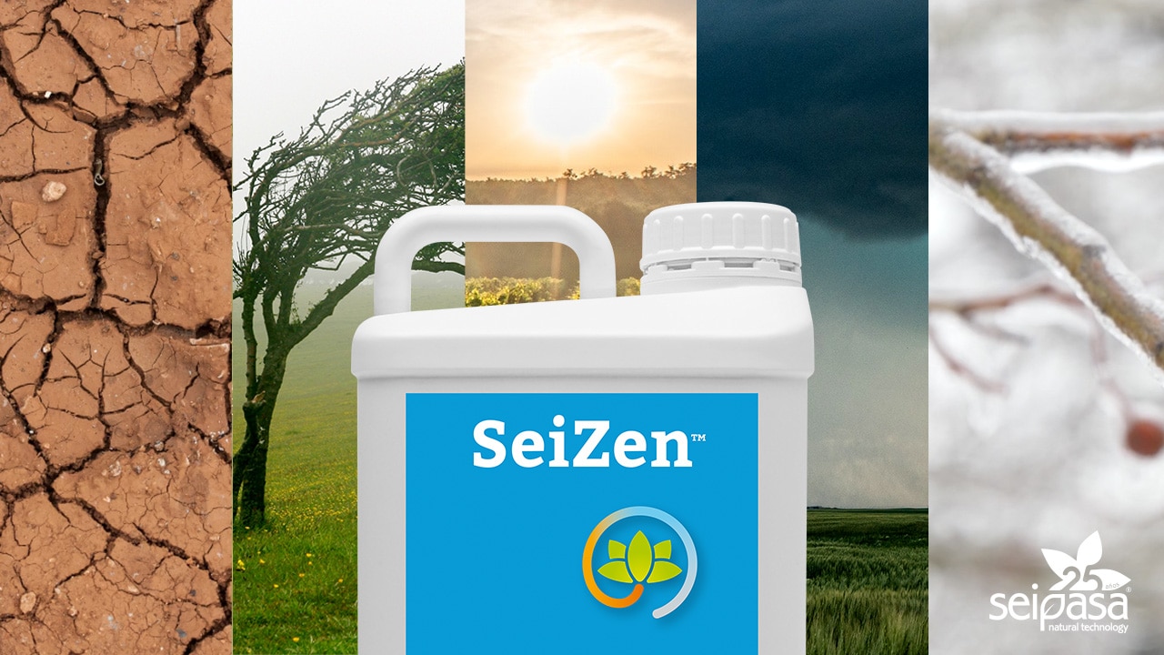SeiZen, el nuevo bioestimulante de Seipasa diseñado para ayudar a la planta en condiciones extremas