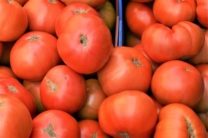 El Grupo de Contacto del Tomate alerta una vez más de la importación descontrolada de tomate marroquí