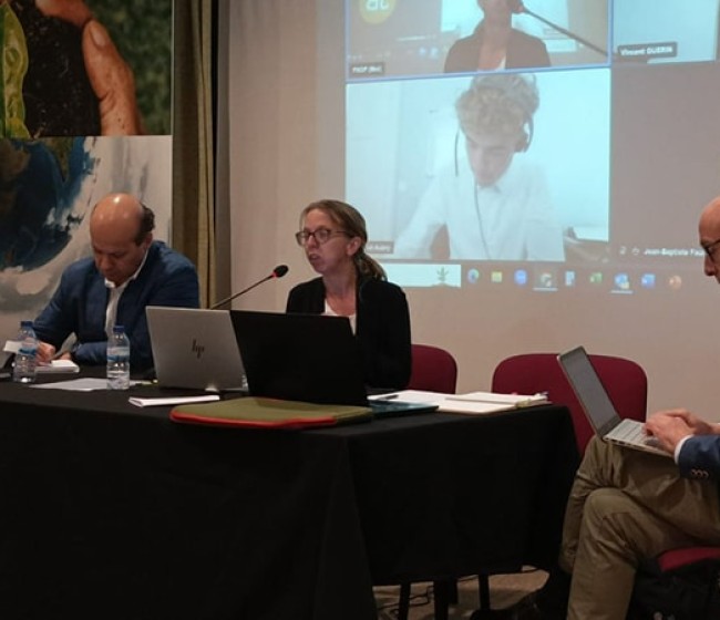 La campaña mediterránea 2023/24 de manzana y pera viene marcada por la sequía y la limitación de fitosanitarios