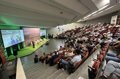 Planas apuesta por el desarrollo tecnológico y la identificación del olivar tradicional en la clausura del Congreso Mundolivar