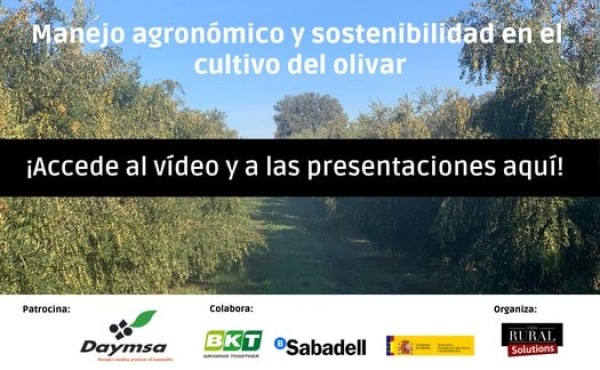 Especial Manejo agronómico y sostenibilidad en el cultivo del olivar