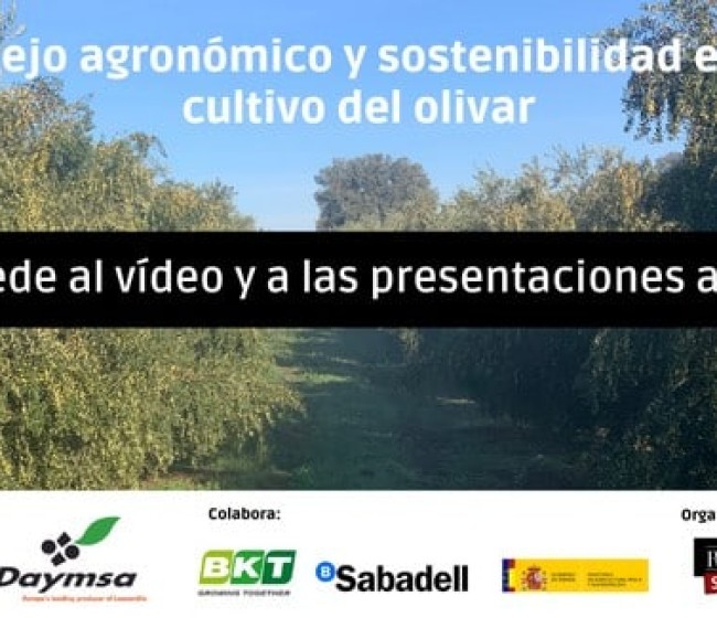 Especial Manejo agronómico y sostenibilidad en el cultivo del olivar