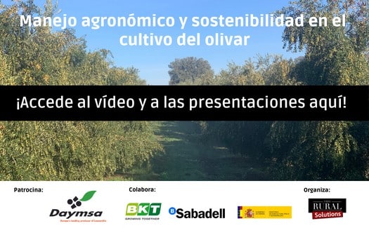 Especial Manejo agronómico y sostenibilidad en el cultivo del olivar