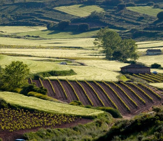 ¿Cómo, cuándo y dónde entrará en vigor el Cuaderno Digital de Explotación Agrícola?
