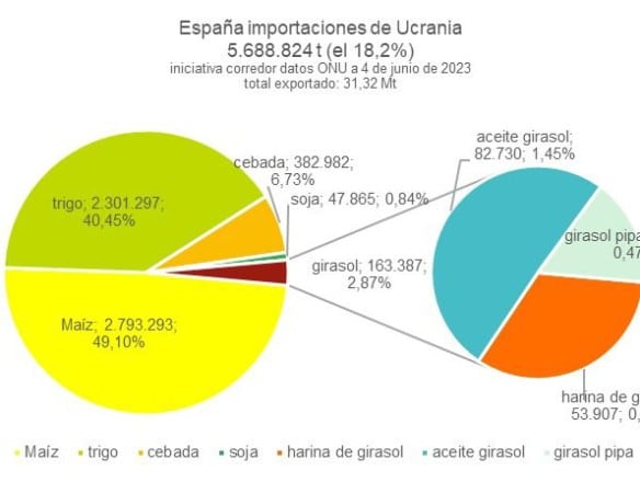 España importó ya cerca de 5,7 Mt de cereales y oleaginosas de Ucrania a través del corredor marítimo del Mar Negro