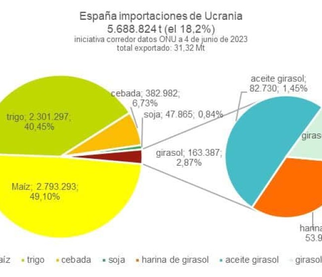 España importó ya cerca de 5,7 Mt de cereales y oleaginosas de Ucrania a través del corredor marítimo del Mar Negro