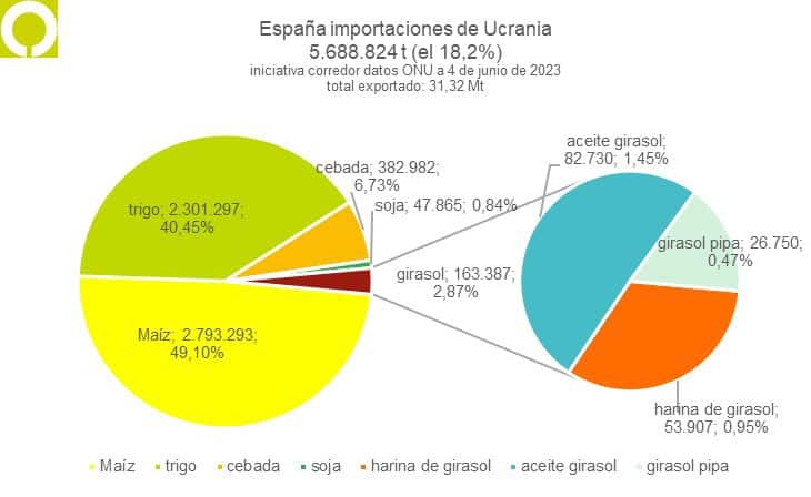 España importó ya cerca de 5,7 Mt de cereales y oleaginosas de Ucrania a través del corredor marítimo del Mar Negro