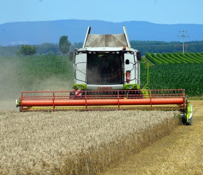 FAO: repunte de la producción mundial de cereales con un stock récord a finales de 2023/24