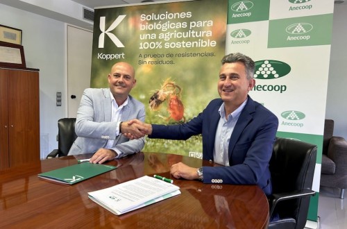 Anecoop y Koppert firman un acuerdo para impulsar el control biológico en cítricos y caqui