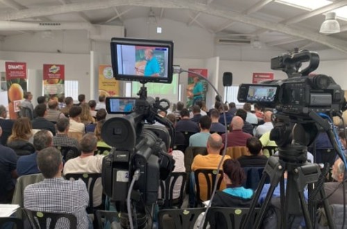 Certis Belchim presenta tres nuevas masterclasses sobre control de ácaros en cítricos