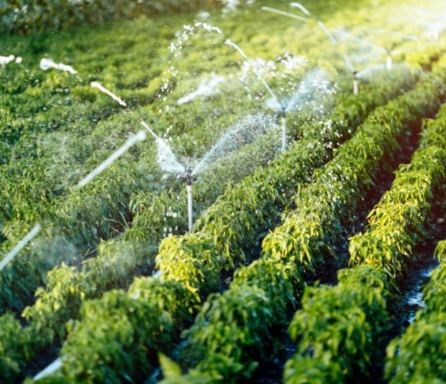 Unión de Uniones pide que se unifiquen Agricultura y Medio Ambiente en la próxima legislatura