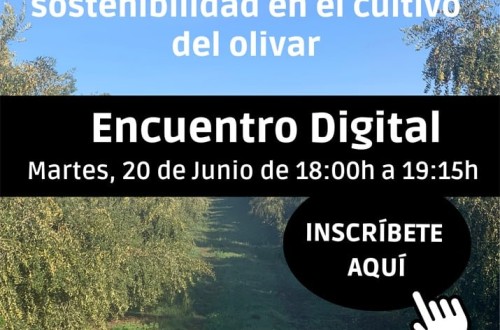 Webinar Vida Rural: Manejo agronómico y sostenibilidad en el cultivo del olivar