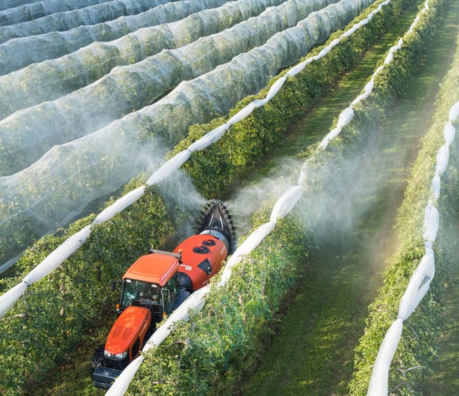 Kubota debate sobre el futuro de los cítricos en España