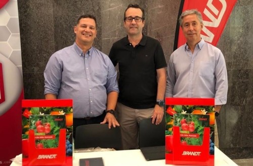 La tecnología Manni-Plex, de Brandt, duplica los azúcares más importantes en la fisiología del aguacate