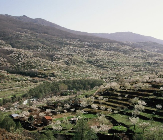 El sector agro-pesquero europeo rechaza por poco realista el proyecto reglamentario de Restauración de la Naturaleza