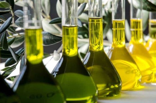 Buena marcha de la campaña de aceite de oliva con una producción de 590.936 tn en diciembre, acumulado 883.588 tn