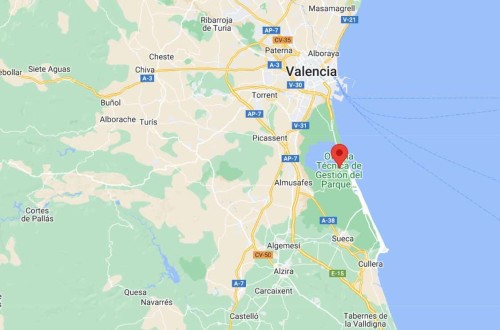 El foco de gripe aviar del Parque Natural de La Albufera no afecta al estatus de España como libre de IAAP en aves de corral